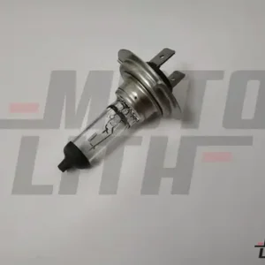 H7 Bulb 12V 55W (Single Bulb)