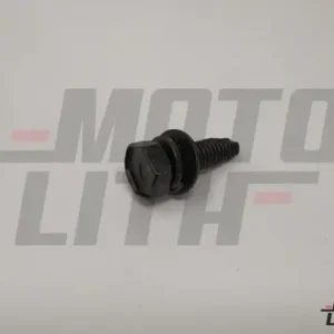 BOLT