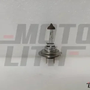 BULB-HEAD LAMP