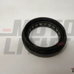 SEAL-OIL,DIFFERENTIAL SIDE