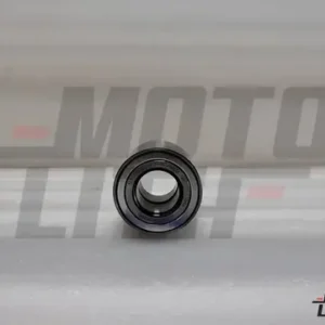 Rear Wheel Bearing