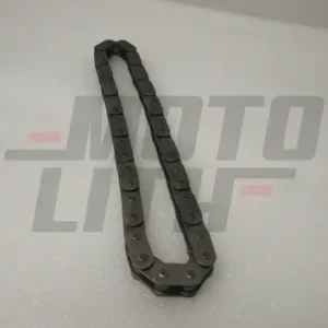 CHAIN-OIL PUMP