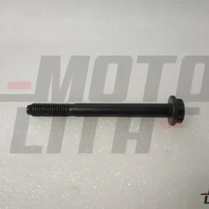 BOLT