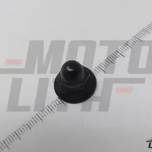 NUT-CAP