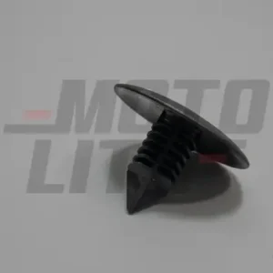 CLIP-MTG