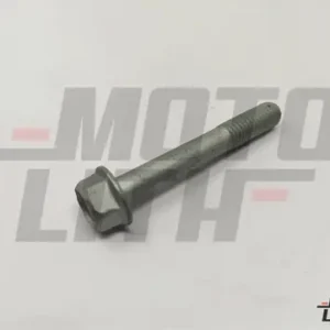 BOLT