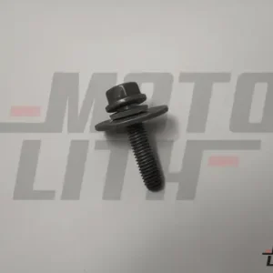 FLANGED H SCREW 2
