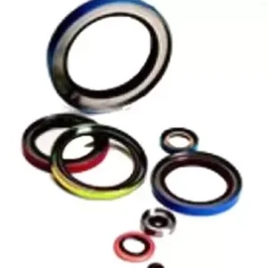 OIL SEALS