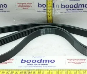 V-Ribbed Belt