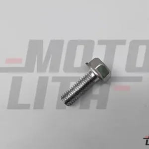BOLT, FLANGE