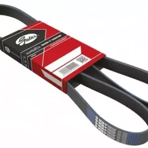 V-Ribbed Belt
