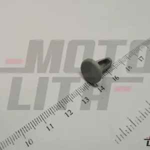 CLIP