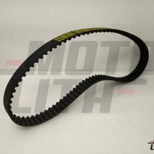 Timing Belt