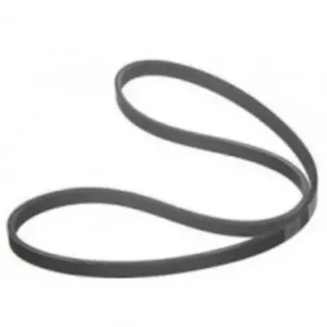 MICRO-V BELT