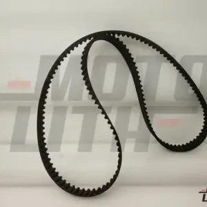 BELT,TMG